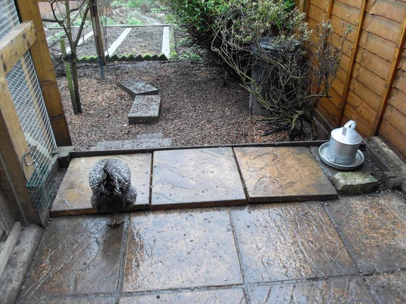 The box of soil is now covered with paving slabs