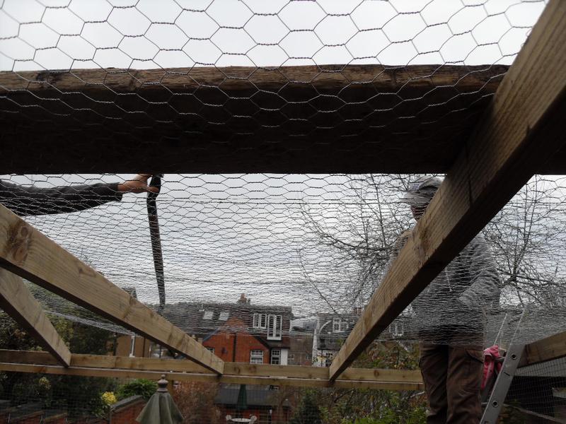 The chicken wire is put over the struts