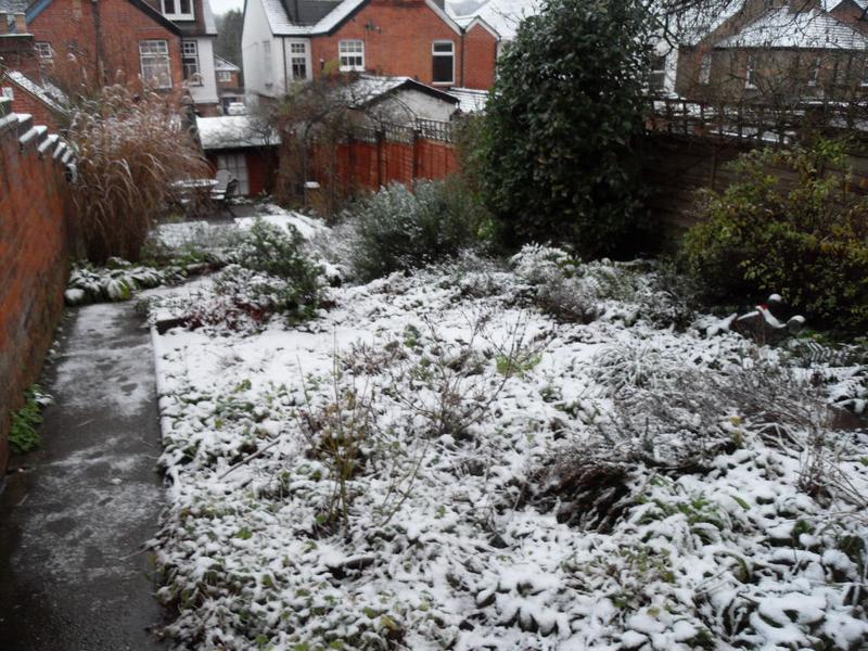 View from the top of the garden