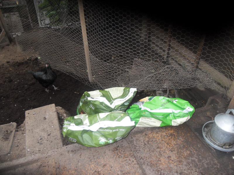 The compost bags are in the run