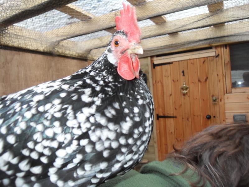 Speckles on my shoulder