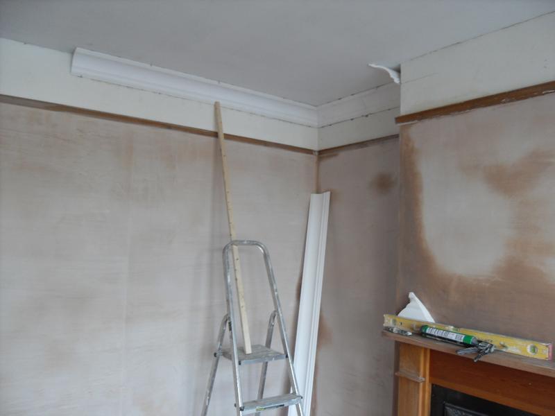 Starting the coving