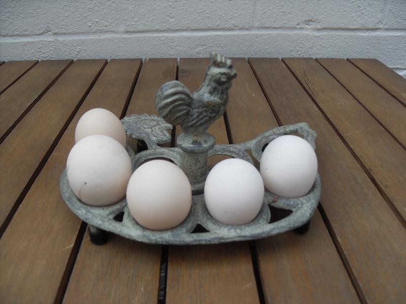 A five egg day