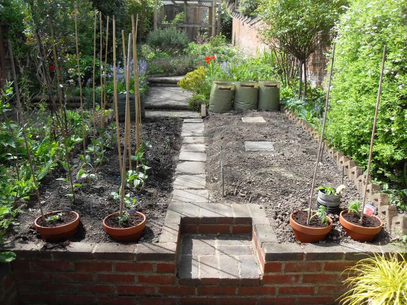 On Friday my husband continued with the veg plot.