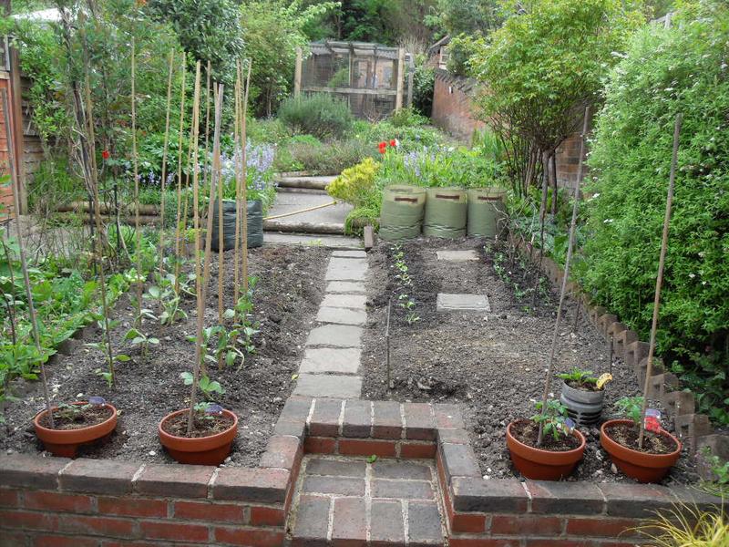 My husband has added some pea sticks he collected from the woodland behind our garden