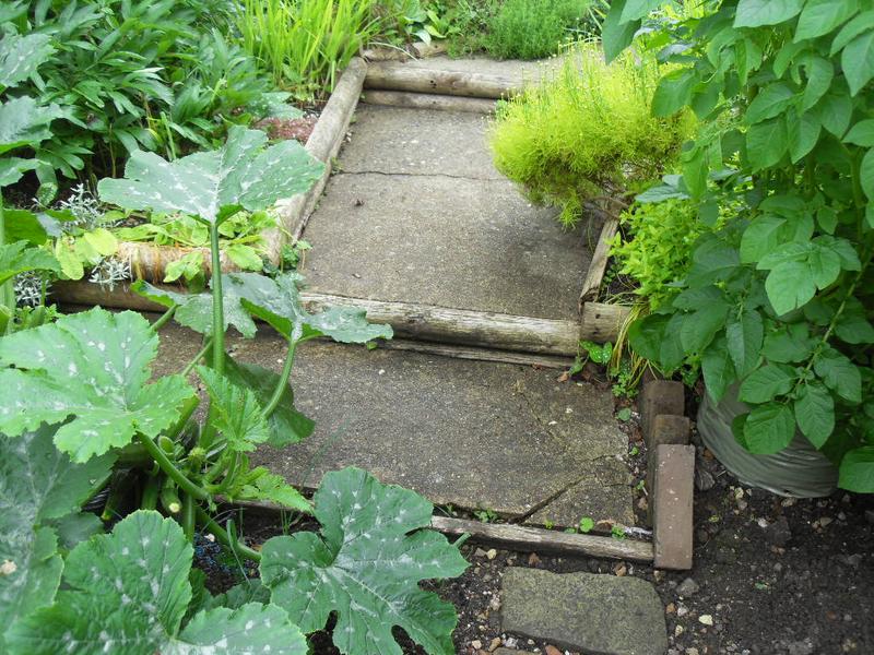 The steps beyond the veg plot