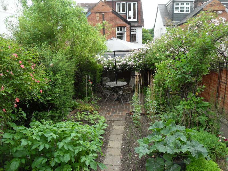 Our patio and the veg plot