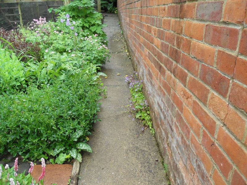 The path up to the top of the garden