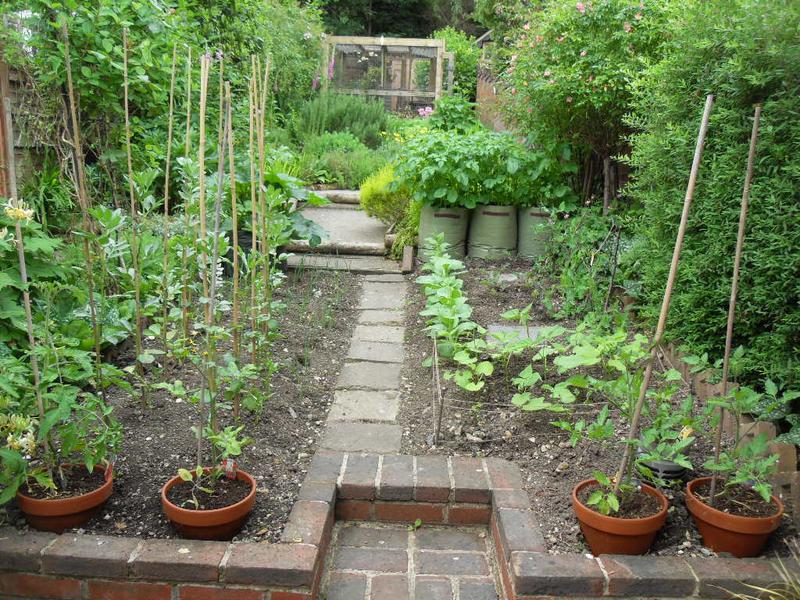 The veg plot from the other direction