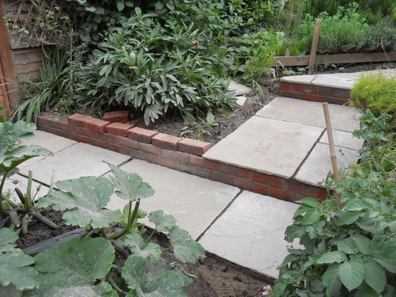 The edge of the veg plot