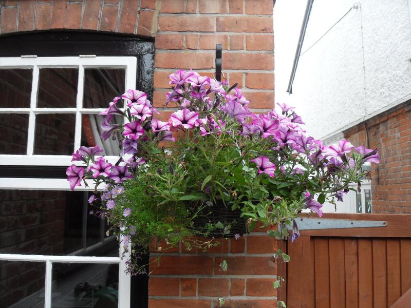 Back hanging basket