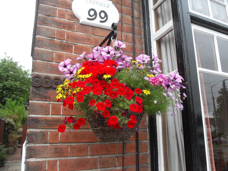 Front hanging basket