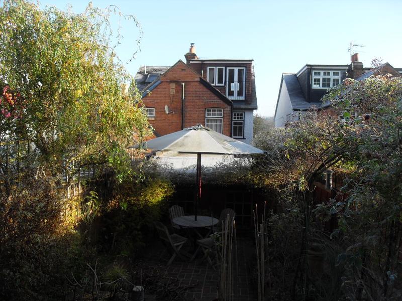 Frosty umbrella in the sunshine