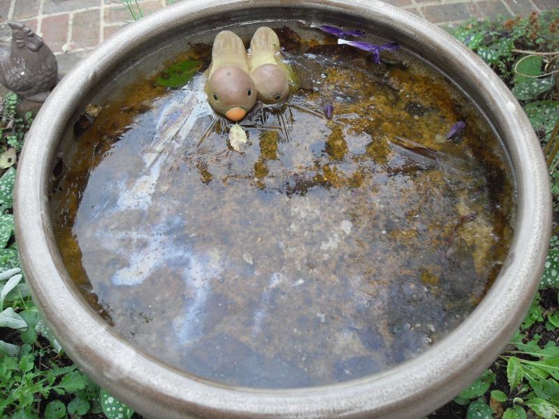 Frozen bird bath