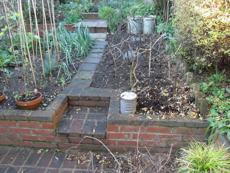 One side of the veg plot has twigs planted