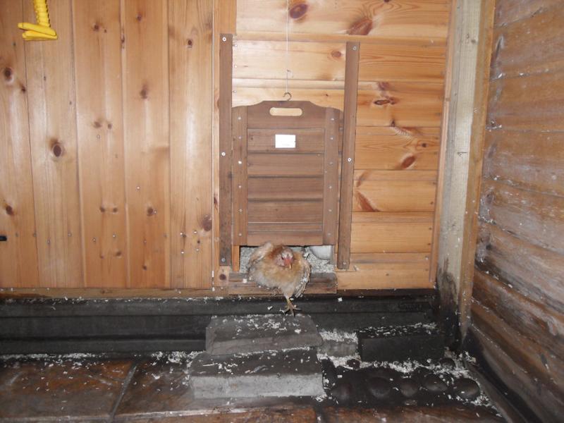 Rusty is first to squeeze under the door